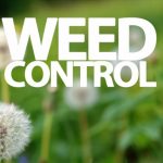 Weed Control St Louis MO